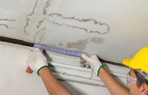 Reliable Water Damage contractor in Trezevant, TN by Water Damage Irwin